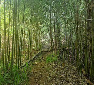 Mahara Sculpture Park and Pottery