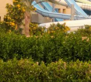 Dieser Teil scheint noch intakt zu sein vom Aquap.