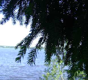 Park Monrepos