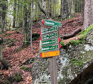 Wandern Drachselsried