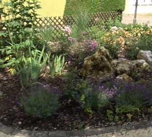 Historische Stadtmauer