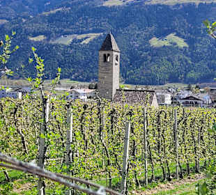 Wandern Naturno / Naturns