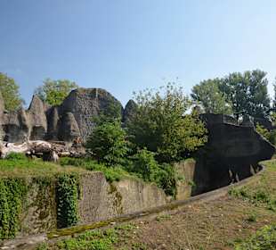 Zoo
