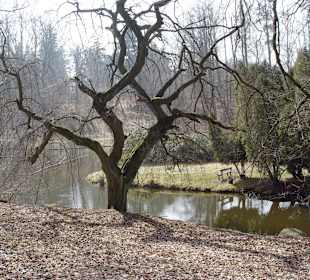 Wie vom Blitz getroffen