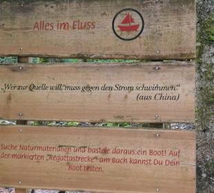 Über den Bergwald-Erlebnispfad hoch zum Frillensee