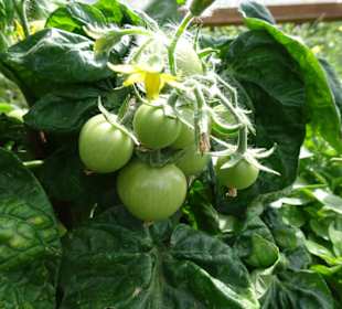 Eindrücke vom Rundgang durch den Park der Gärten