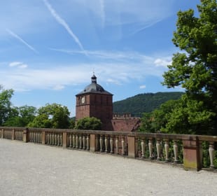 Schlossgarten/park