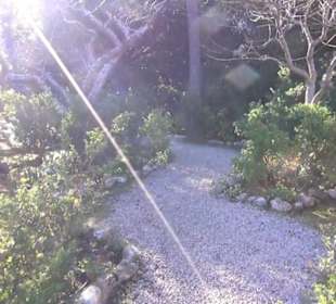 Garten + Kreuzgang hl. Margerite