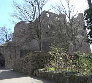 Altes Schloss Hohenbaden