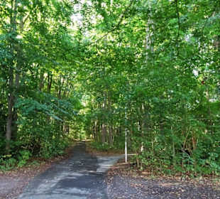Rundgang durch den Kurpark Calvarienberg