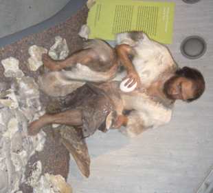 Die Geschichte des Neanderthalers