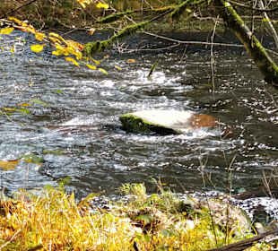 Wandern Teisnach