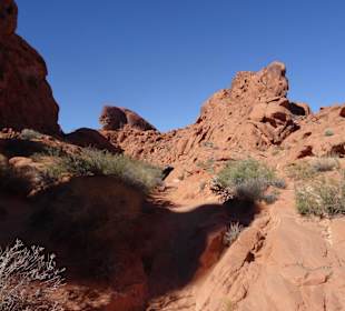 Im Valley of Fire unterwegs