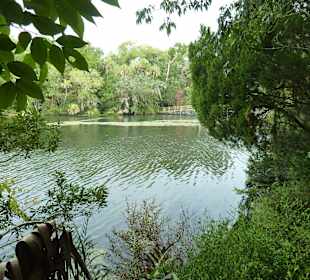 Homosassa Wildlife Park