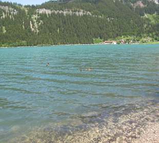 Der Haldensee
