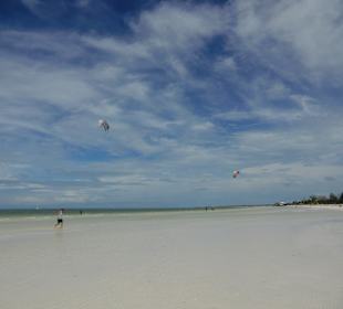 Kite Surfer