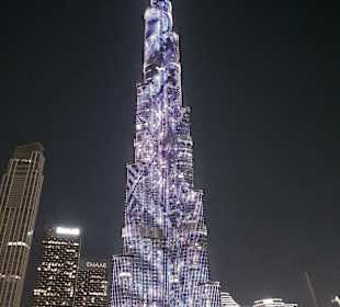 Night Tour Dubai