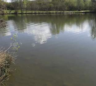 Sport- und Freizeitpark Markwasen
