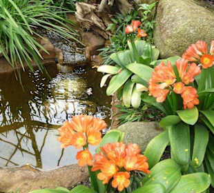 Planten und Bloomen Freizeitpark