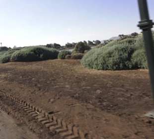 Stadtrundgang El Gouna