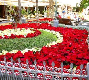 Ruhezone im Geschäftsviertel