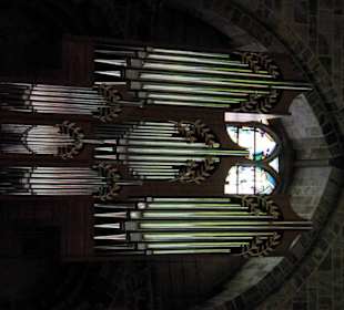 Orgel