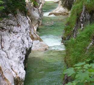 Grünes Wasser