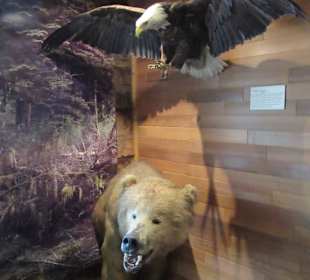 Im Baranov Museum