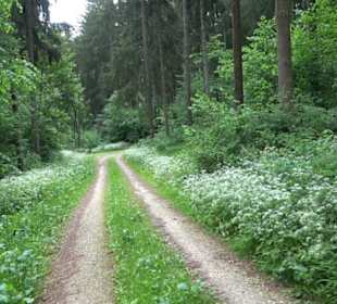 Premiumwanderweg "hochgehackert"