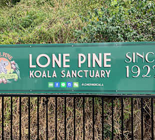 Lone Pine Koala Sanctuary