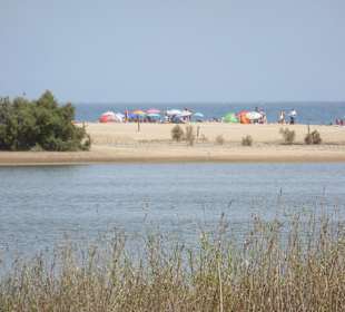 Vorne Naturschutz, hinten Maspalomas Strand