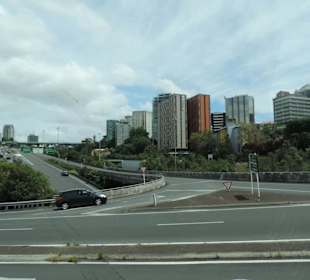 Mit dem Hop on Hop off Bus in Auckland unterwegs