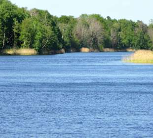 Impressionen vom Rundweg um den Oyter See