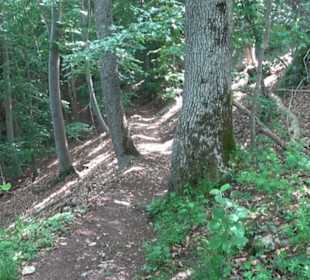 Premiumwanderweg "hochgelegen"