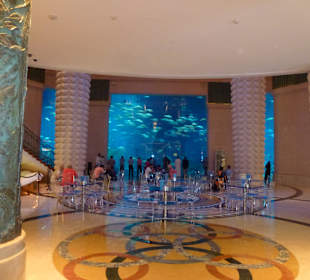 Aquarium