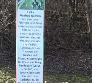 Weinerlebnisweg