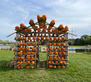 Krewelshof  Kürbisschau 2022 (Wundersame Waldwesen