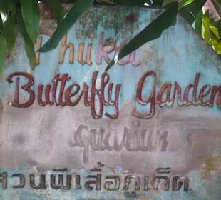 Butterfly Garden