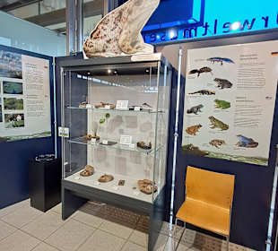 Geoskop in Thallichtenberg