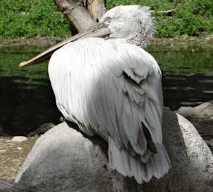 Rundgang im Tierpark