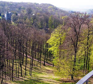 Schloßpark Altenstein