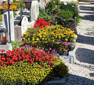 Bepflanzte Gräber des Stadtfriedhofes