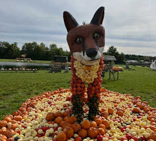 Krewelshof  Kürbisschau 2022 (Wundersame Waldwesen