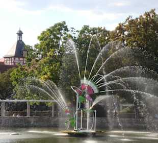 Die Enzblume an der Steinbrücke