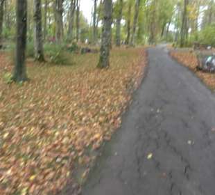 Waldfriedhof