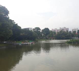 Jurong Lake und Gärten