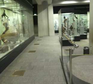 Zoologisches Museum 