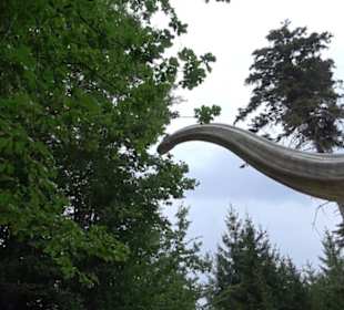Dinosaurier Museum Altmühltal