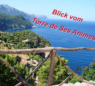 Ausblick vom Torre de ses Animes