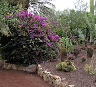Oasis-Park, Zoo und Botanischer Garten